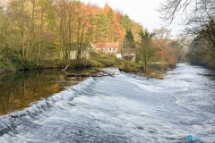 Scotton Weir