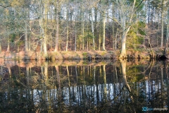 Autumn reflections