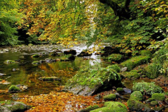 The River Nidd