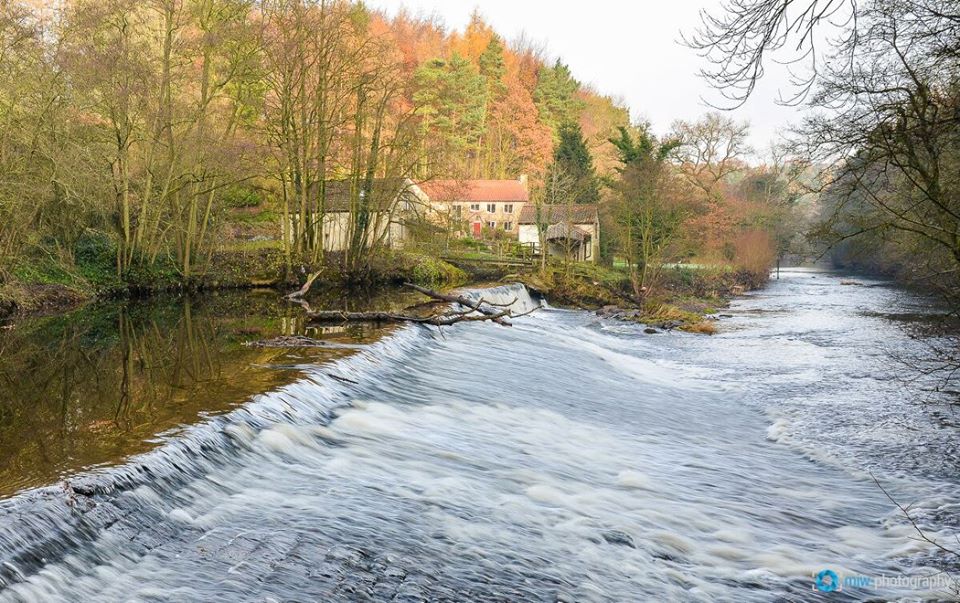 Scotton Weir